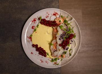 Salmone
